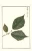 photo158_small.jpg