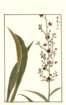 photo15_small.jpg
