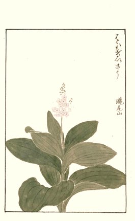 photo16.jpg