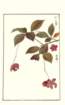 photo167_small.jpg