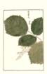 photo168_small.jpg
