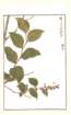 photo170_small.jpg