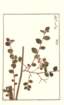 photo171_small.jpg