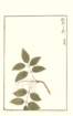 photo173_small.jpg