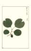 photo179_small.jpg