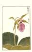 photo17_small.jpg