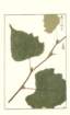 photo180_small.jpg