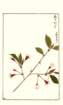 photo181_small.jpg
