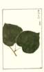 photo182_small.jpg