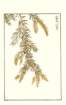 photo183_small.jpg