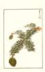 photo184_small.jpg