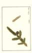 photo188_small.jpg