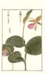 photo18_small.jpg