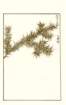 photo191_small.jpg