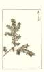 photo193_small.jpg