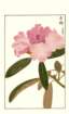 photo194_small.jpg