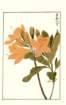 photo195_small.jpg