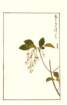 photo197_small.jpg