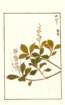photo198_small.jpg