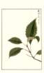 photo199_small.jpg