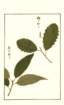 photo200_small.jpg