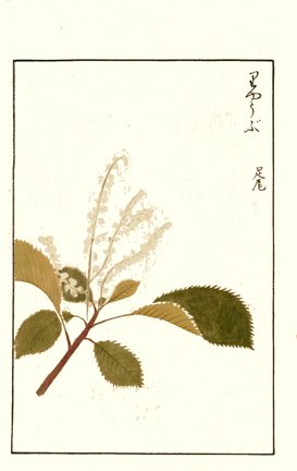 photo201.jpg