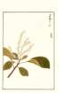 photo201_small.jpg