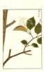 photo202_small.jpg