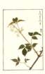 photo208_small.jpg