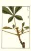 photo210_small.jpg