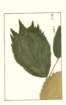 photo218_small.jpg