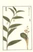 photo21_small.jpg