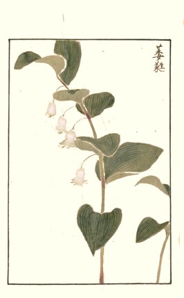 photo22.jpg