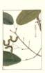 photo225_small.jpg