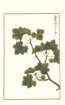 photo227_small.jpg
