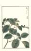 photo228_small.jpg
