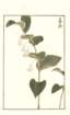 photo22_small.jpg