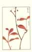 photo232_small.jpg