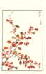 photo233_small.jpg