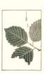 photo235_small.jpg