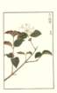 photo236_small.jpg