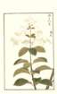 photo240_small.jpg