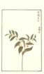 photo24_small.jpg