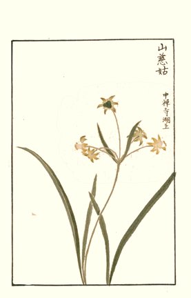 photo25.jpg