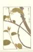 photo252_small.jpg