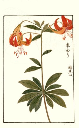 photo27.jpg