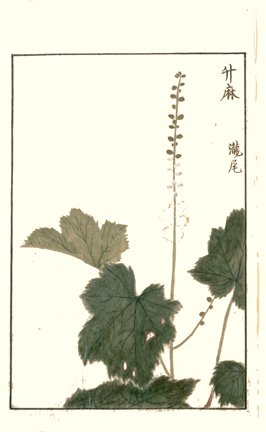 photo28.jpg