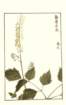 photo29_small.jpg