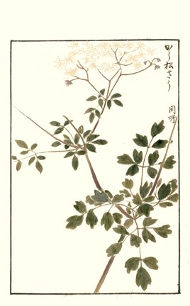photo30.jpg