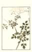 photo30_small.jpg